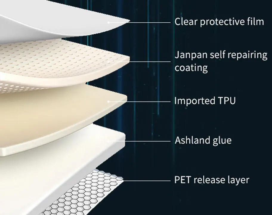 The material structure and characteristics of PPF (1)